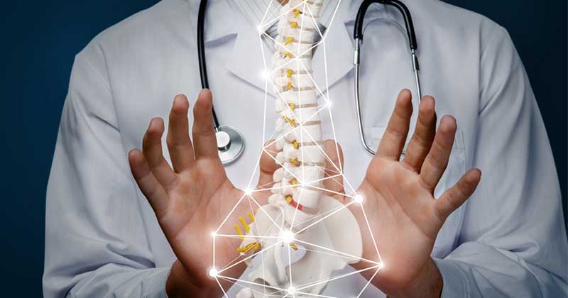 Chiropractic Doctor with bone