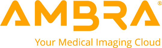 ambra logo