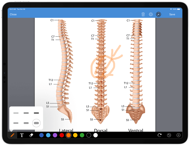 pm-ipad