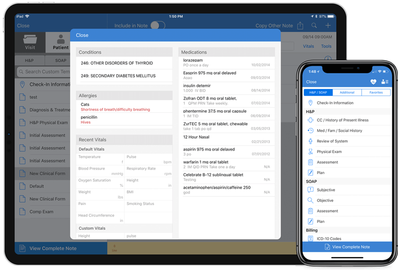 Face Sheets on iPad and Clinical list on iPhone